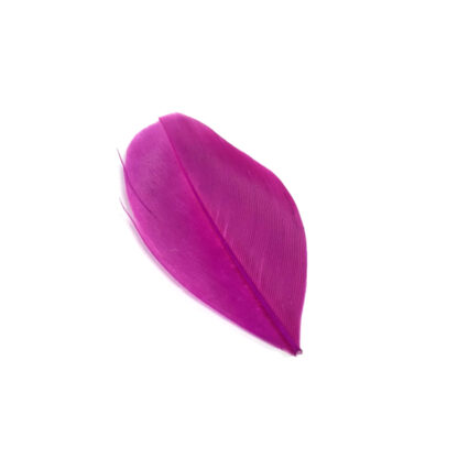 Oval pink feather - size 30 x 50 mm