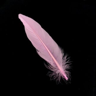 Light pink feather - length 200 mm - 3 pieces
