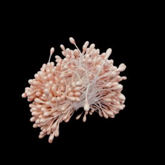 Pinkish cream white flower stamens - length 55 mm