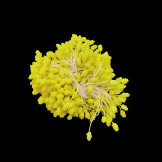 Yellow flower stamens - length 60 mm