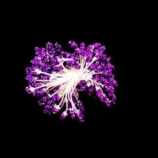 Violet flower stamens - length 50 mm