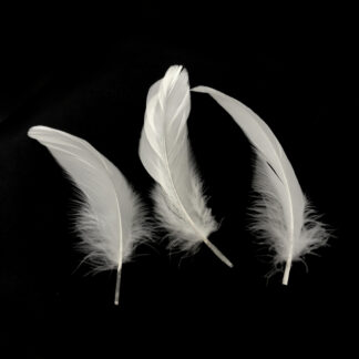 Cream white feather - size 40 x 180 mm - 3 pieces