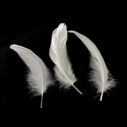 Cream white feather - size 40 x 180 mm - 3 pieces