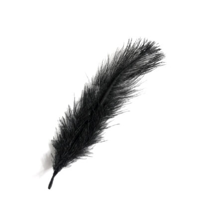 Black ostrich feather - size 50 x 140 mm