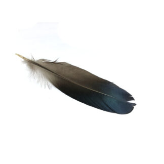 Dark blue and brown feather - size 30 x 160 mm