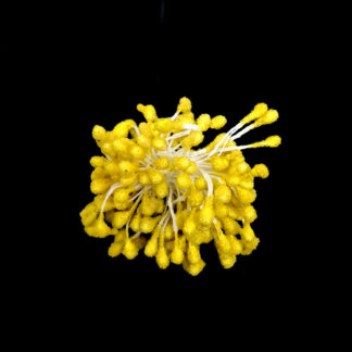 Frosted yellow flower stamens - length 55 mm