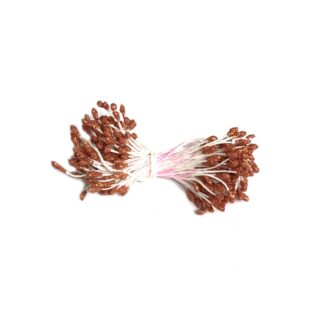 Glittery red brown flower stamens - length 60 mm