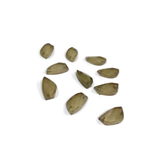 Faceted quadrilateral flat-back glittery brownish cream sew-on rhinestones - size 8 x 15 mm - 10 pieces