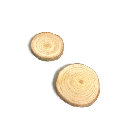 Natural tree slices - size 25 - 35 mm - 4 pieces