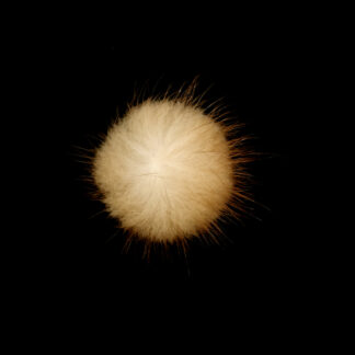 Round white brown sable fur - diametre 35 mm