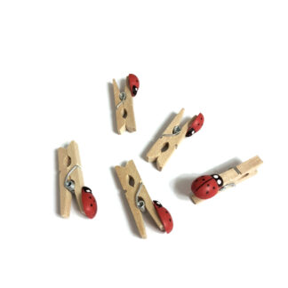Red ladybird wooden clothes peg - length 30 mm