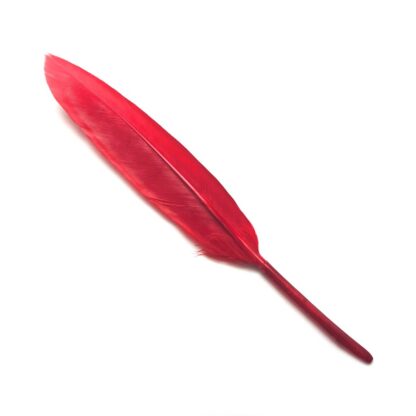 Red feather - size 20 х 140 mm - 4 pieces