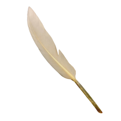 Cream beige feather - size 20 х 140 mm - 4 pieces