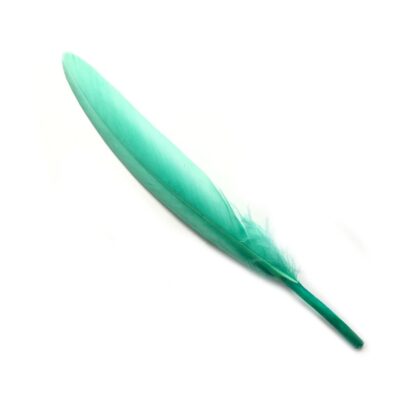 Bluish light green feather - size 20 х 140 mm - 4 pieces