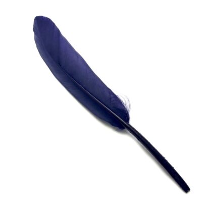 Pinkish dark blue feather - size 20 х 140 mm - 4 pieces