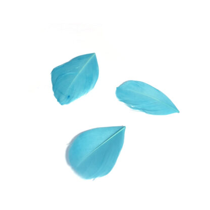 Oval greenish blue feather - size 30 x 50 mm - 3 pieces