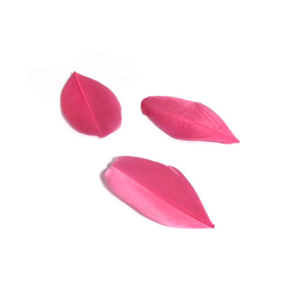 Oval pink feather - size 30 x 50 mm - 3 pieces