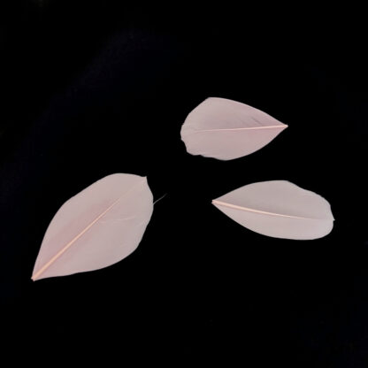 Oval light pink feather - size 30 x 50 mm - 3 pieces