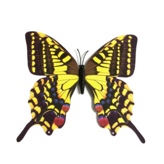 Yellow red and brown plastic butterfly with magnet - size 85 х 120 mm